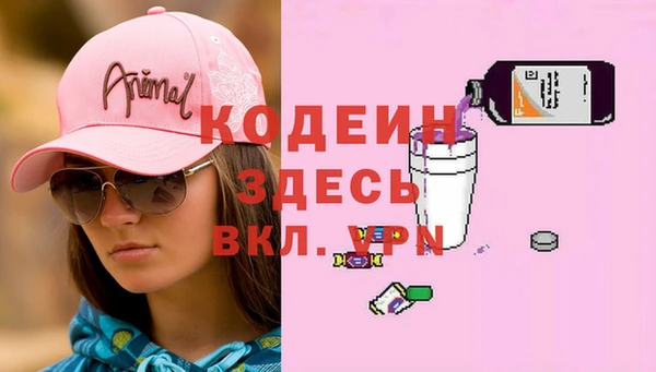 прущие грибы Надым