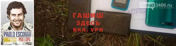 прущие грибы Надым