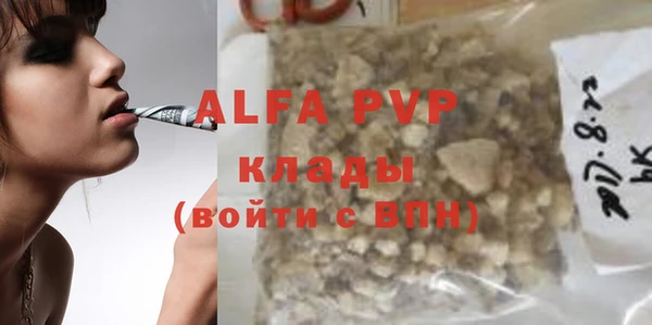 прущие грибы Надым