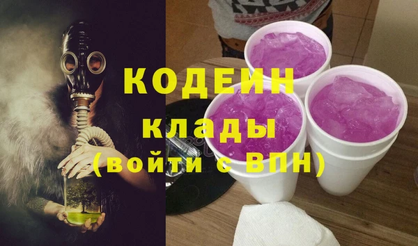 прущие грибы Надым