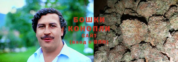 прущие грибы Надым