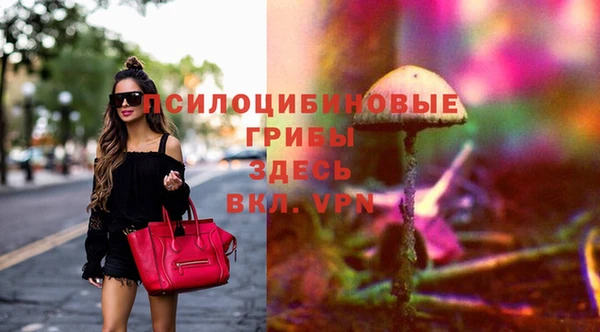 прущие грибы Надым