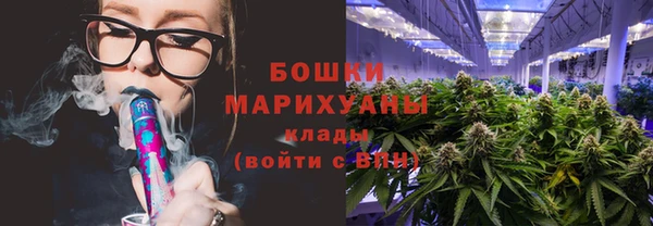 прущие грибы Надым