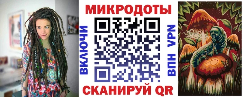 Купить закладки  Камень-на-Оби  Псилоцибиновые грибы ЛСД 