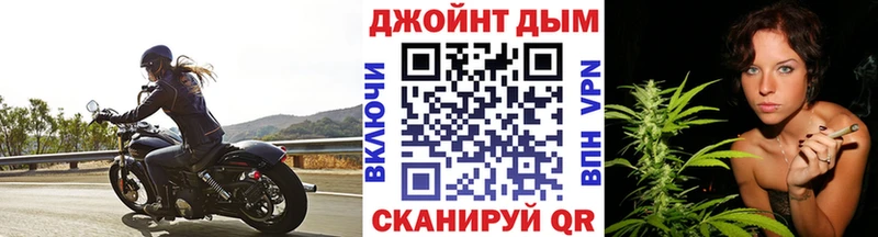 Каннабис сатива  Купить закладки  Камень-на-Оби 